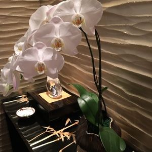 Meet your Posher, Jesse